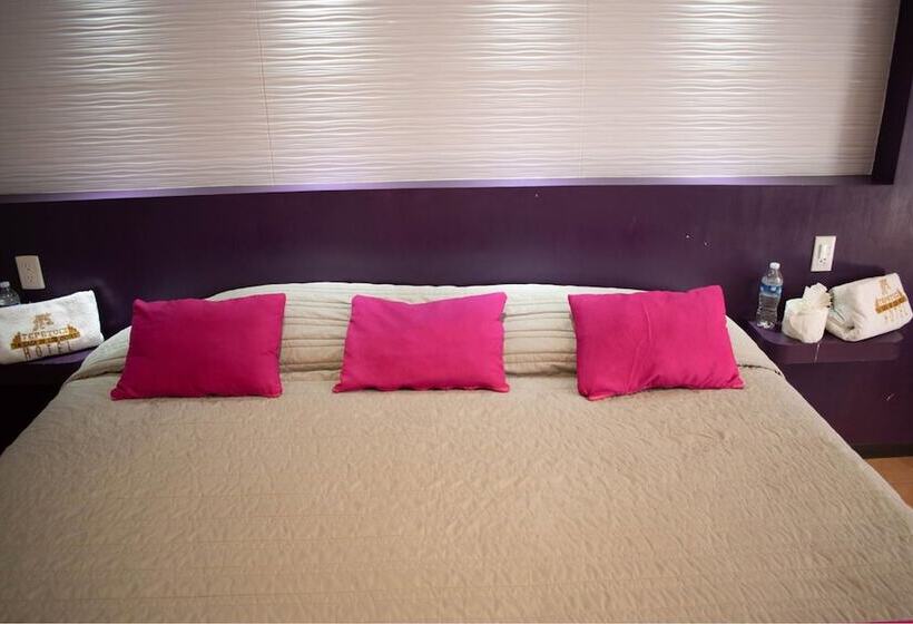 酒店 Real Campestre Tepetoci