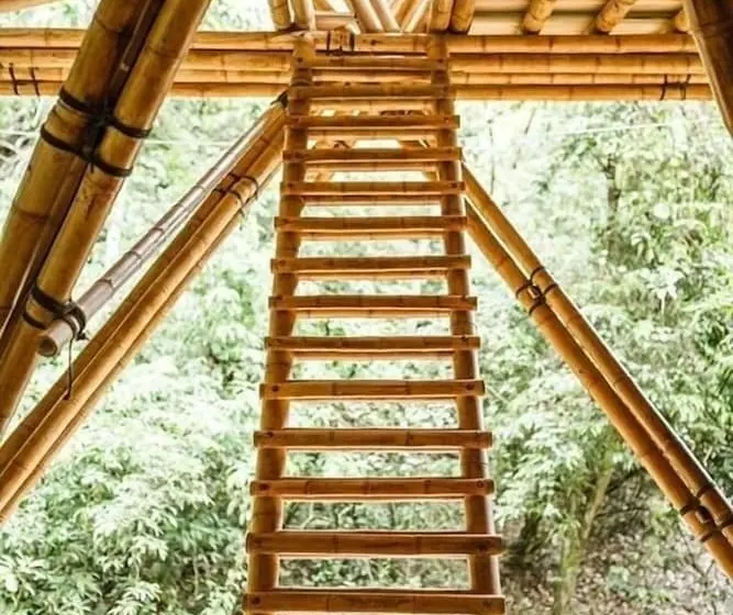 ホテル Wild Child Village