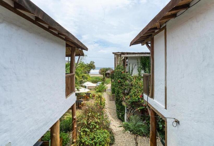 پانسیون Ganso & Búho