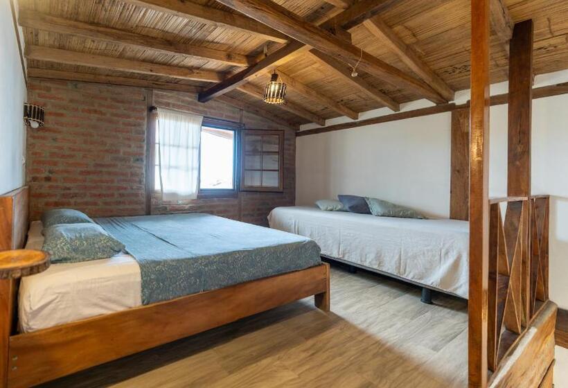 پانسیون Ganso & Búho