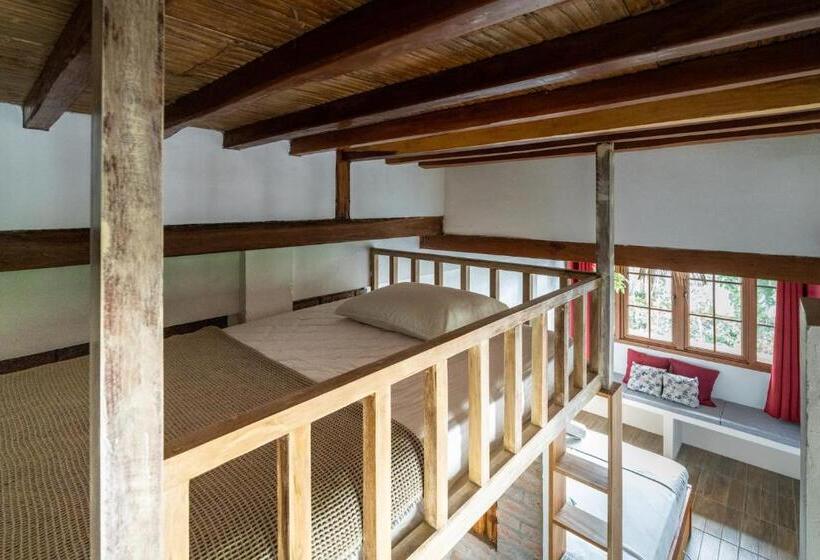 پانسیون Ganso & Búho