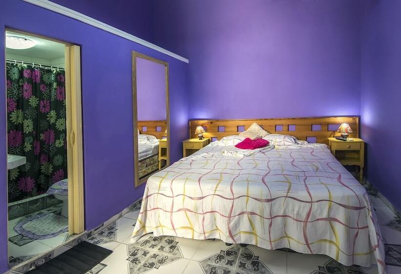 پانسیون Hostal Boutique Drobles