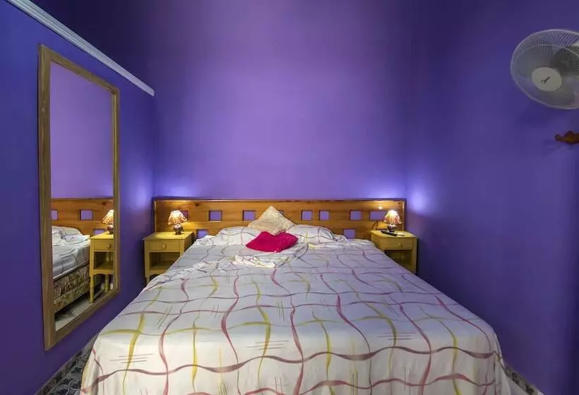 پانسیون Hostal Boutique Drobles