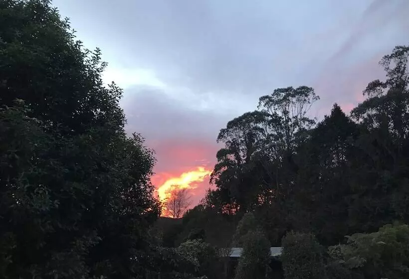 Angie's Rural Retreat