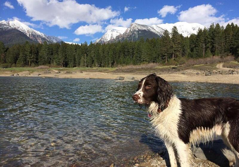 فندق Ninepipes Lodge