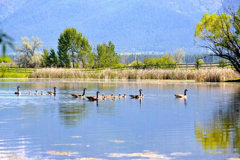 فندق Ninepipes Lodge