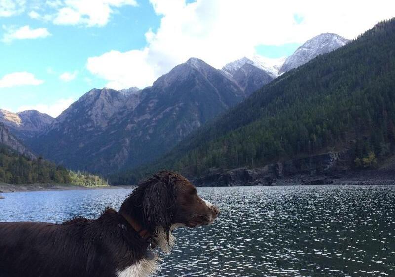 فندق Ninepipes Lodge