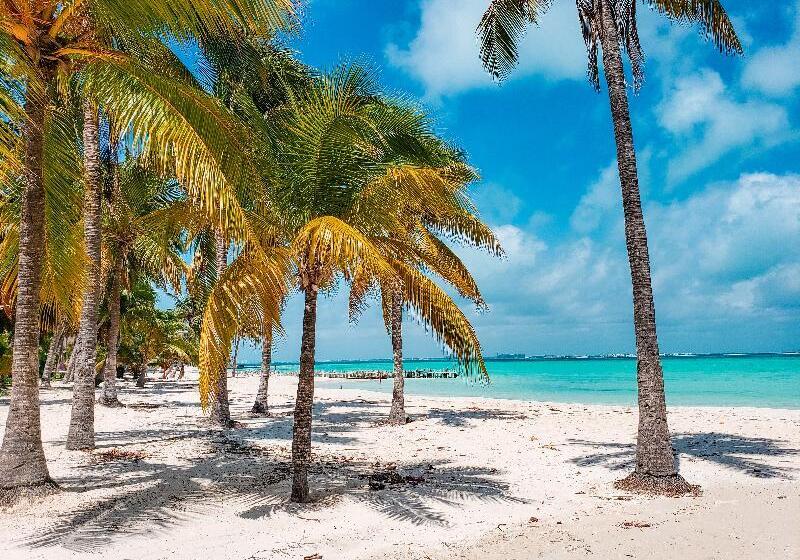 فندق The Mint Resort Isla Mujeres