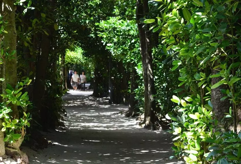 Old Private House Kaneya