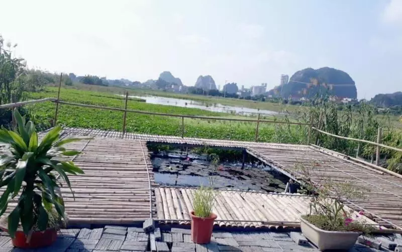 پانسیون Tam Coc Rice Fields Homestay