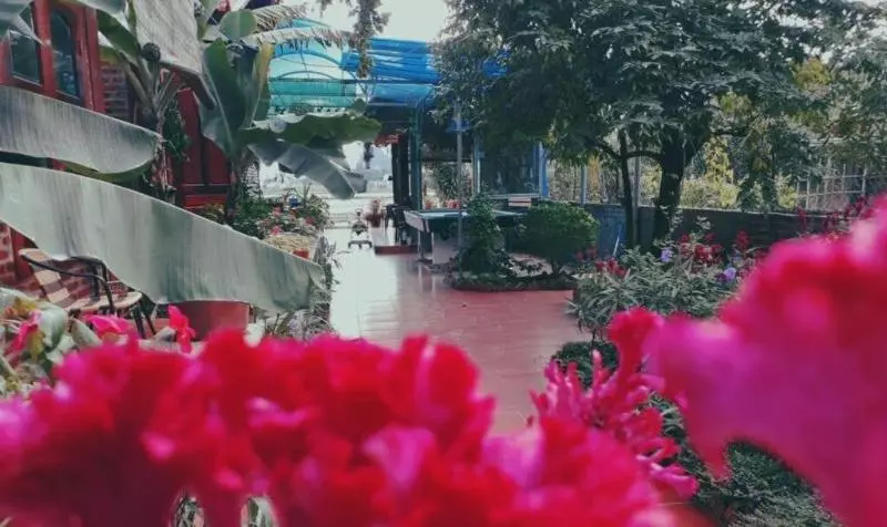 پانسیون Tam Coc Rice Fields Homestay