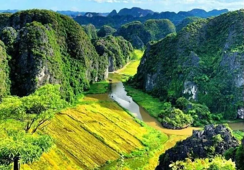 پانسیون Tam Coc Rice Fields Homestay