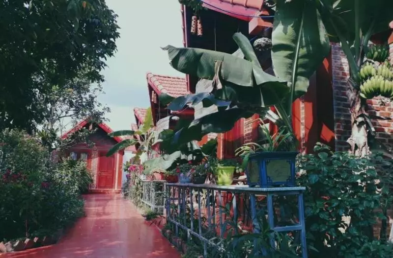 پانسیون Tam Coc Rice Fields Homestay