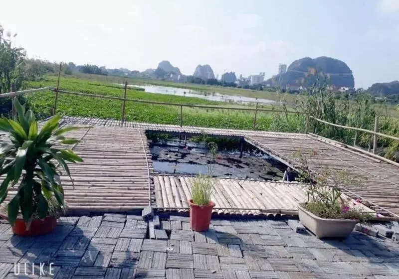 پانسیون Tam Coc Rice Fields Homestay