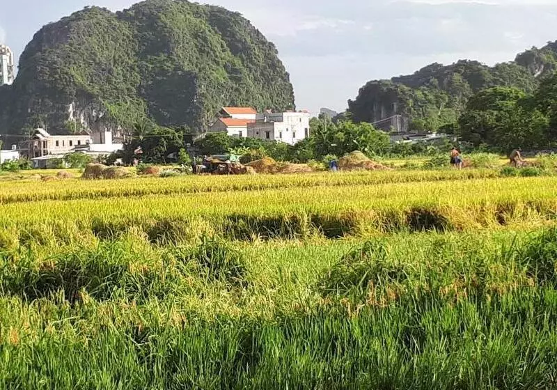 پانسیون Tam Coc Rice Fields Homestay