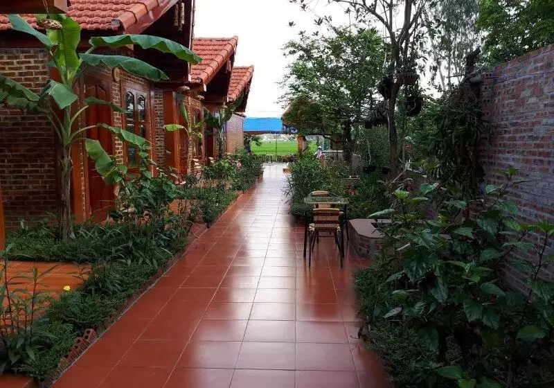 پانسیون Tam Coc Rice Fields Homestay
