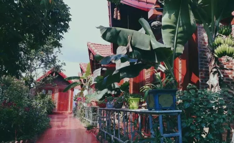 پانسیون Tam Coc Rice Fields Homestay