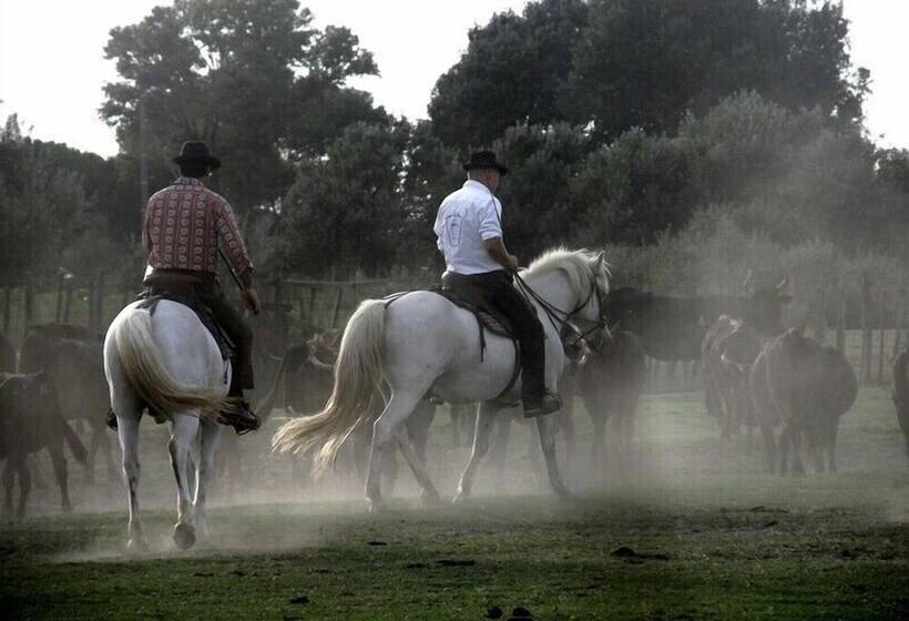 호텔 Camping Abri De Camargue
