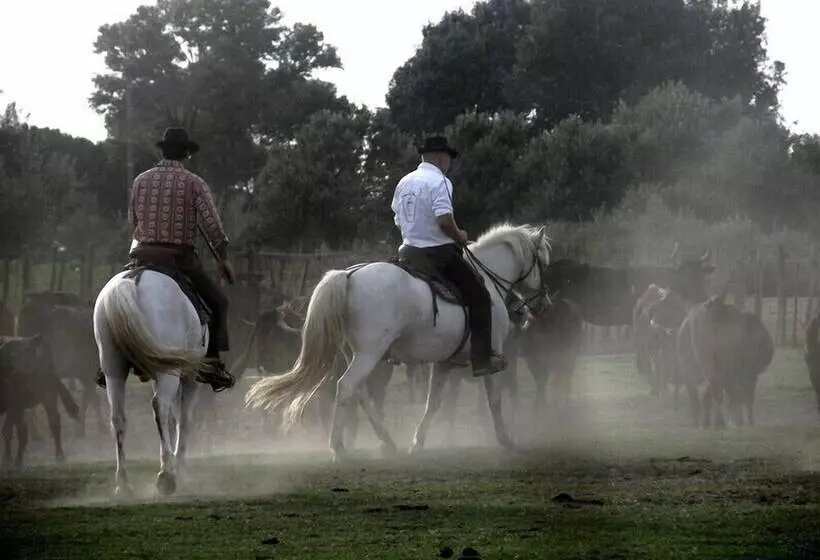 هتل Camping Abri De Camargue