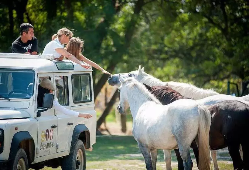 هتل Camping Abri De Camargue