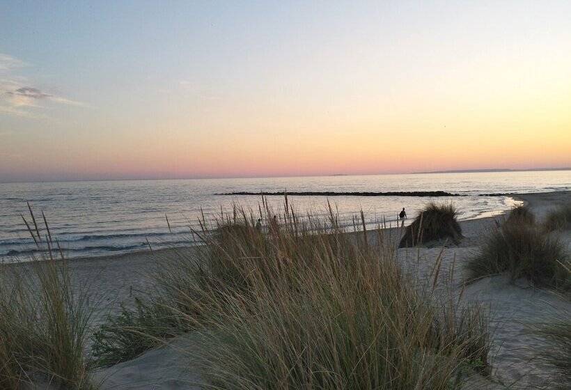 호텔 Camping Abri De Camargue