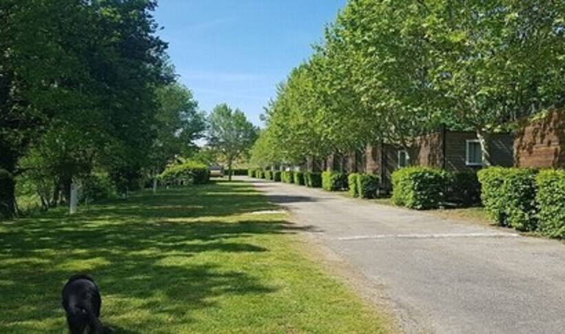 Отель Camping La Grappe Fleurie