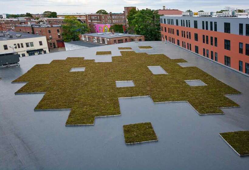 酒店 Hampton Inn Salem Boston