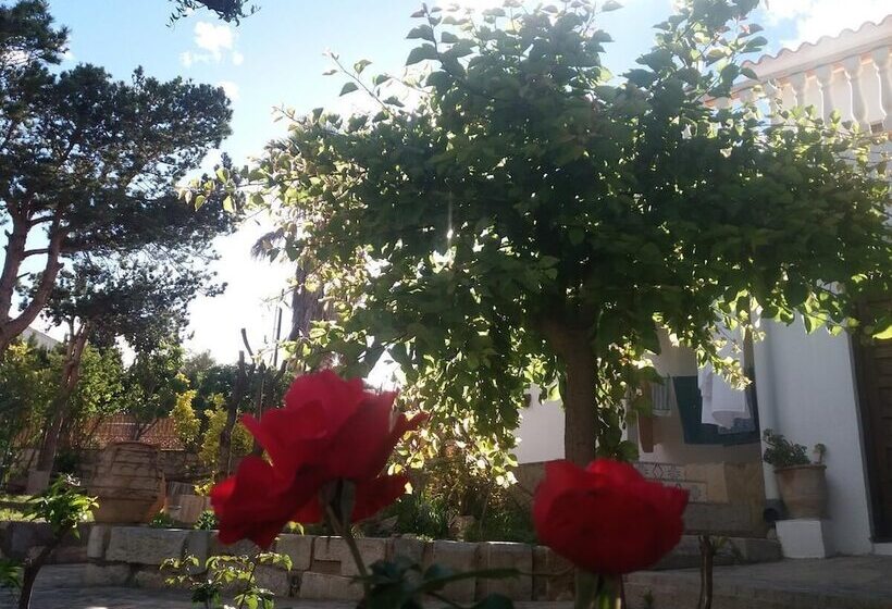 Пансион Can Maravilla