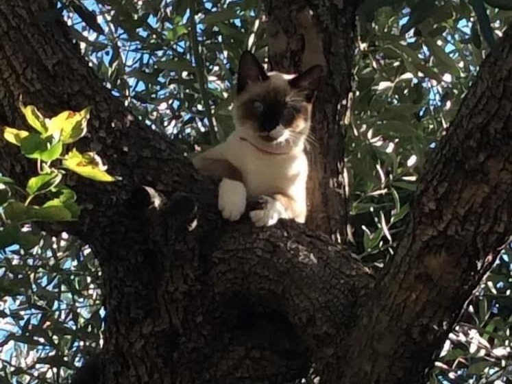 Пансион Can Maravilla