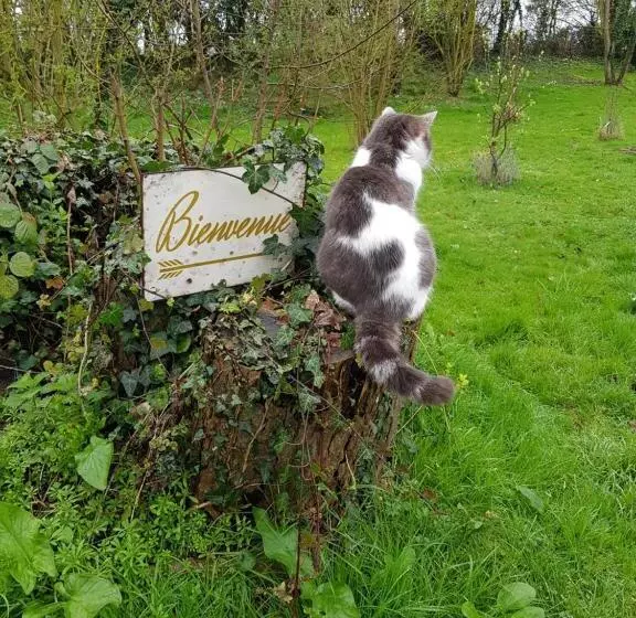 Aamiaismajoitus (B&B) Chambres D Hôtes Et Gîte De La Vieille Ecluse