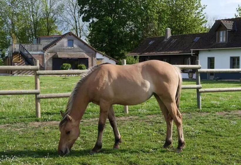 Aamiaismajoitus (B&B) Chambres D Hôtes Et Gîte De La Vieille Ecluse