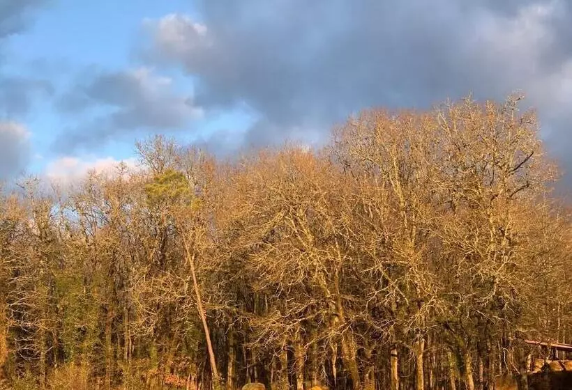 ベッドアンドブレックファースト Domaine De La Chartreuse Dautré