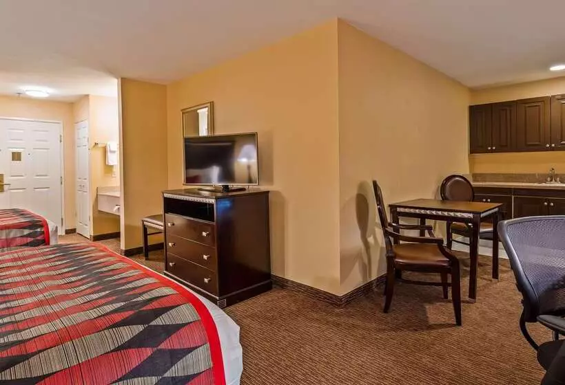 酒店 Best Western Plus Bessemer