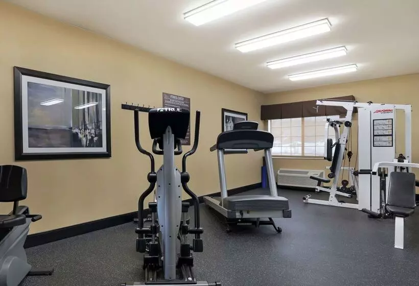 Отель Best Western Plus Castle Rock