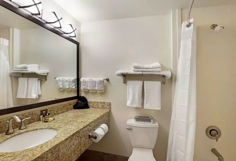 Отель Best Western Plus Castle Rock