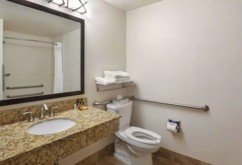 Отель Best Western Plus Castle Rock