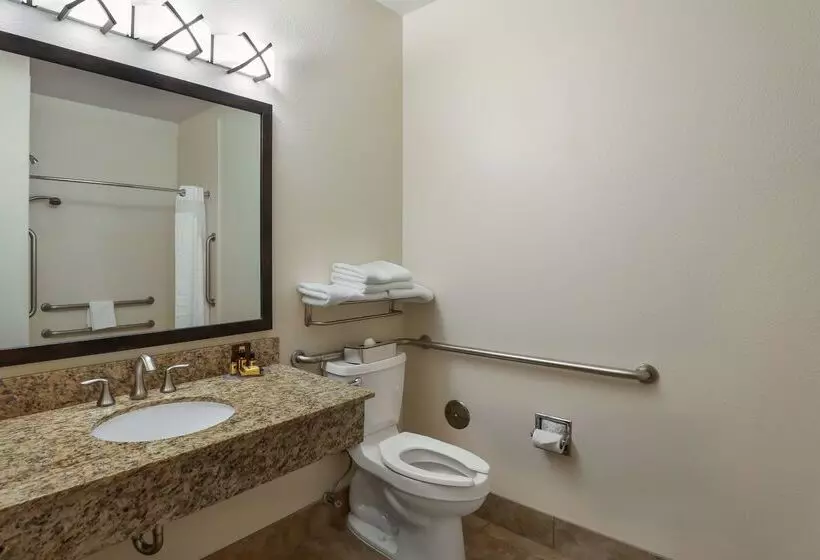 Отель Best Western Plus Castle Rock