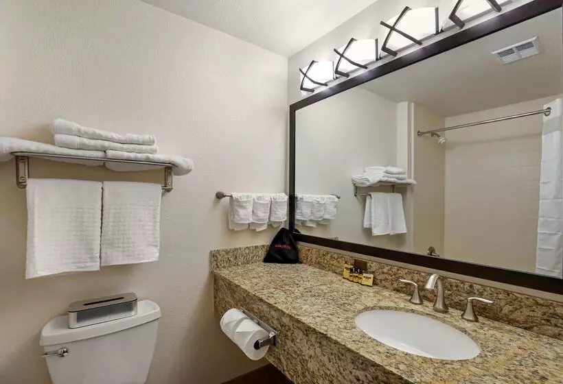 Отель Best Western Plus Castle Rock