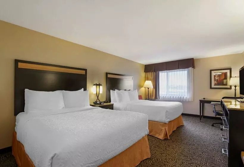 Отель Best Western Plus Castle Rock