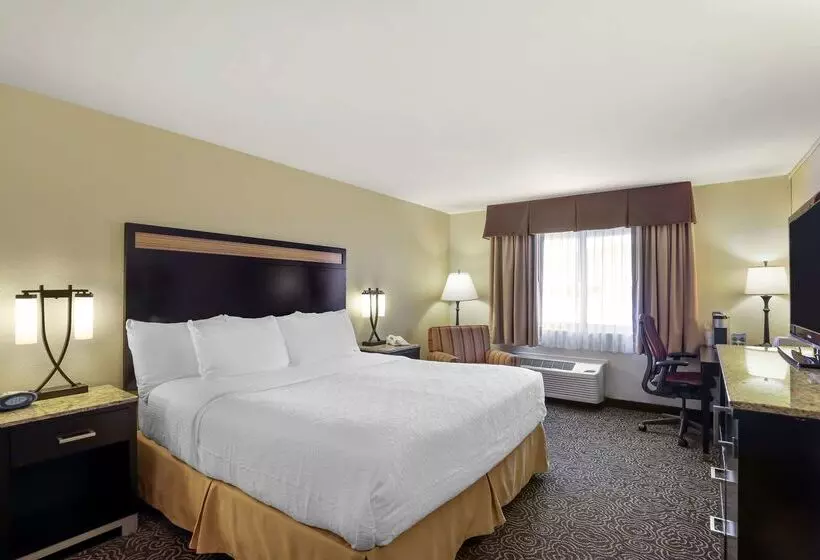 Отель Best Western Plus Castle Rock