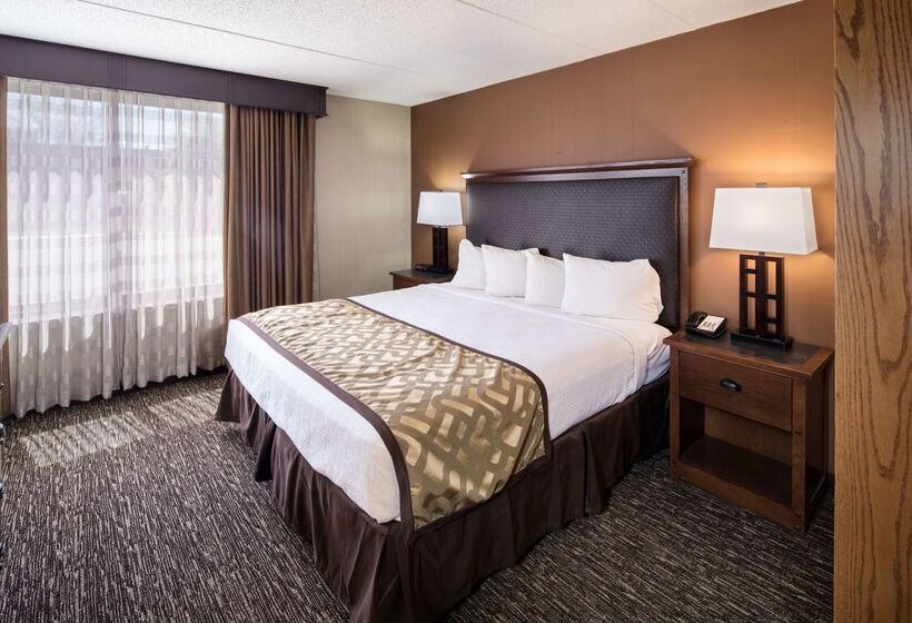 Отель Best Western Ramkota