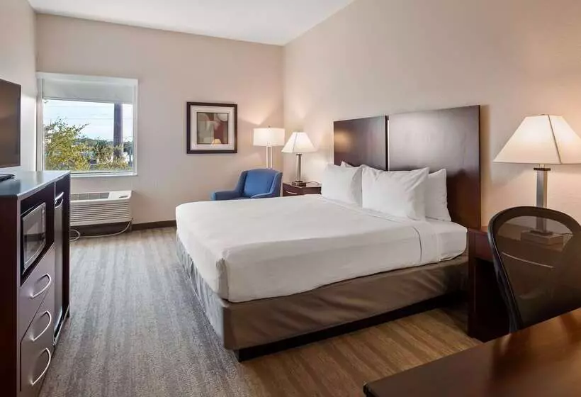 هتل Best Western Tampa