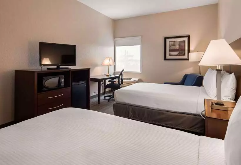 هتل Best Western Tampa