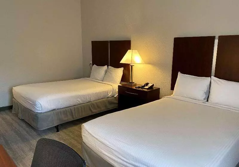 هتل Best Western Tampa