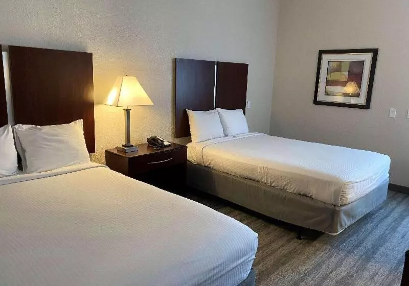 هتل Best Western Tampa