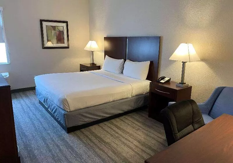 هتل Best Western Tampa