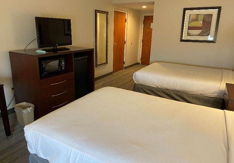 فندق Best Western Tampa