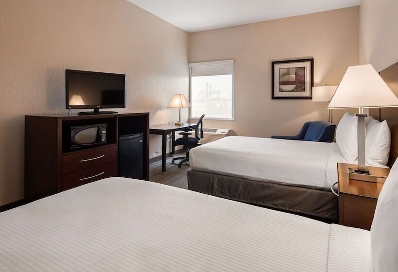 فندق Best Western Tampa