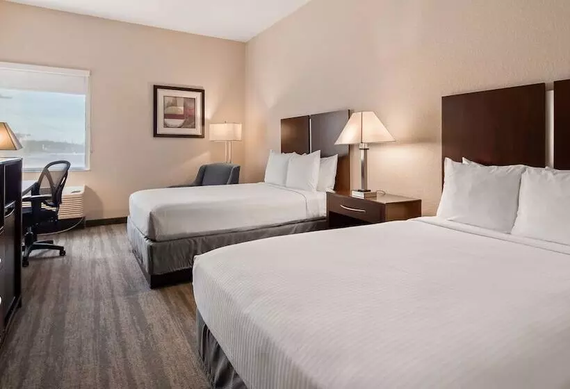 هتل Best Western Tampa