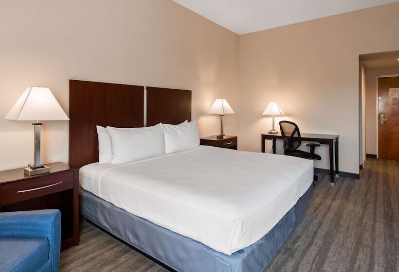 فندق Best Western Tampa